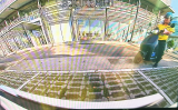 EQA 原廠代碼 SA 501 環景影像顯示